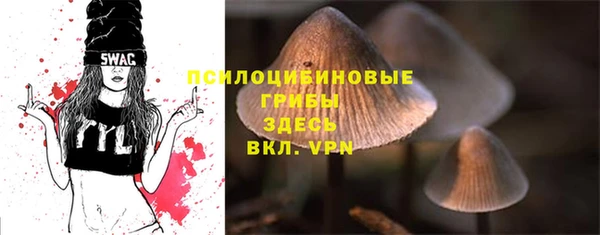 дурь Дмитровск